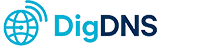 DigDNS Logo